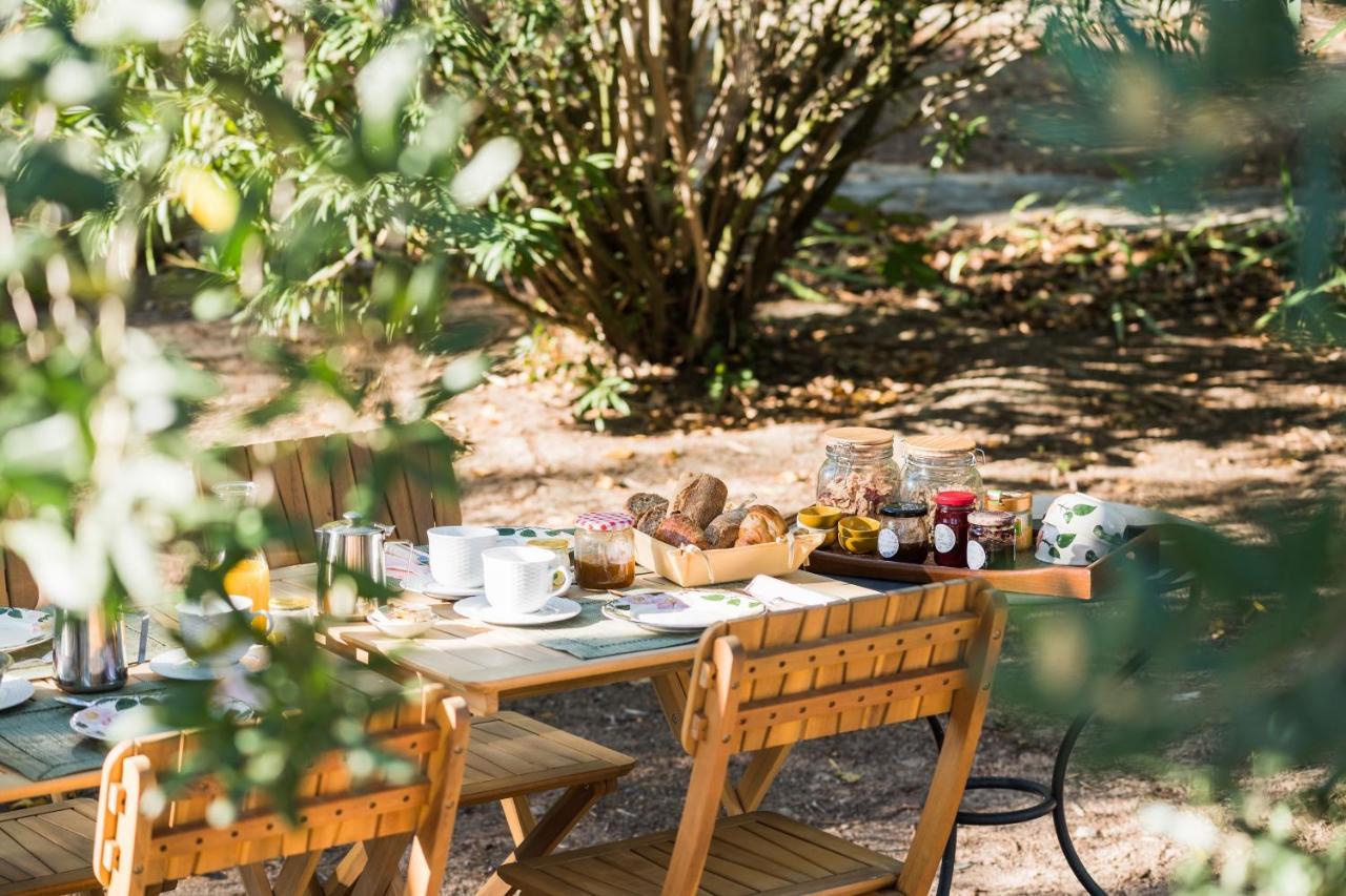 La Closerie Des Iris Castelnau-d'Aude 외부 사진