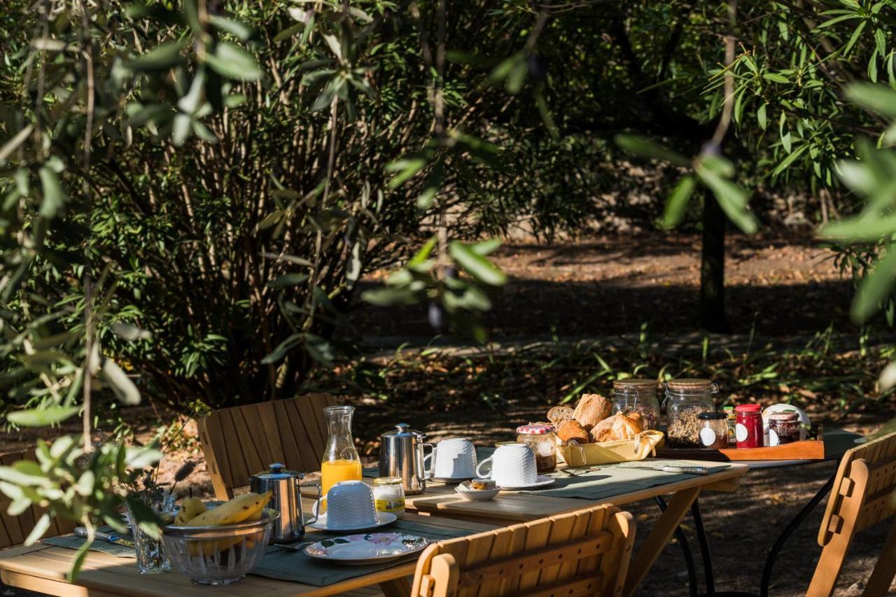 La Closerie Des Iris Castelnau-d'Aude 외부 사진